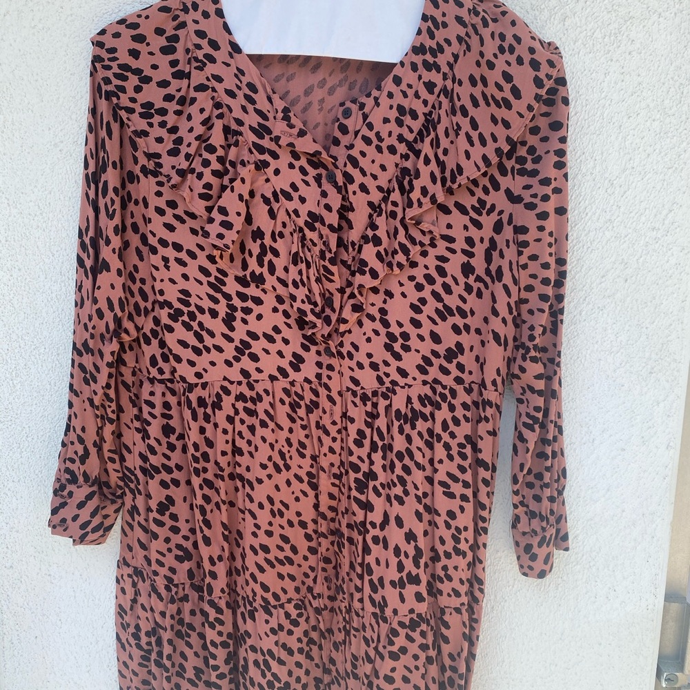 Zara dress